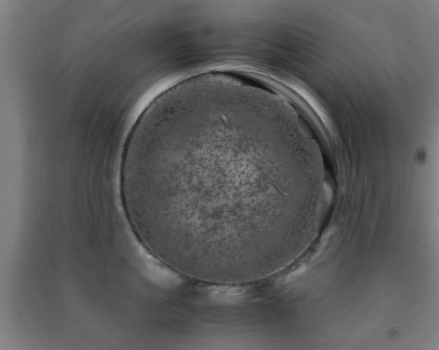 X0000091450861200708161257
