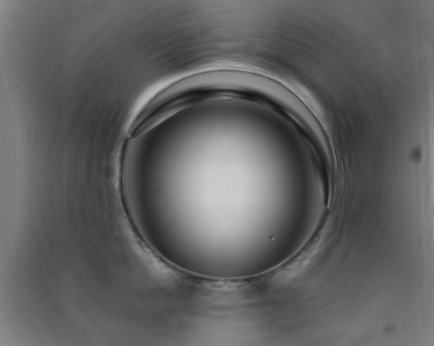 X0000091450862200708161257