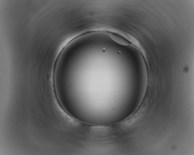 X0000091450863200708161257