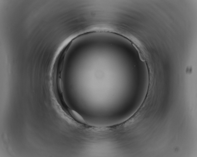 X0000091450864200708161257