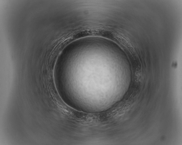 X0000091450865200708161256