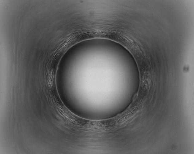 X0000091450866200708161256