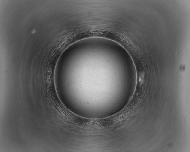 X0000091450867200708161256
