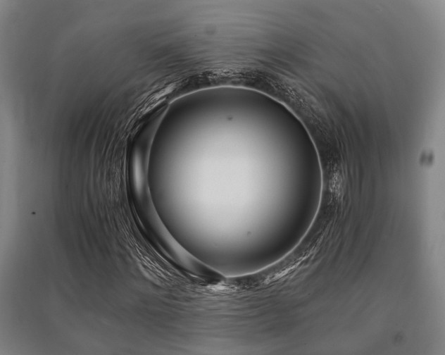 X0000091450868200708161256