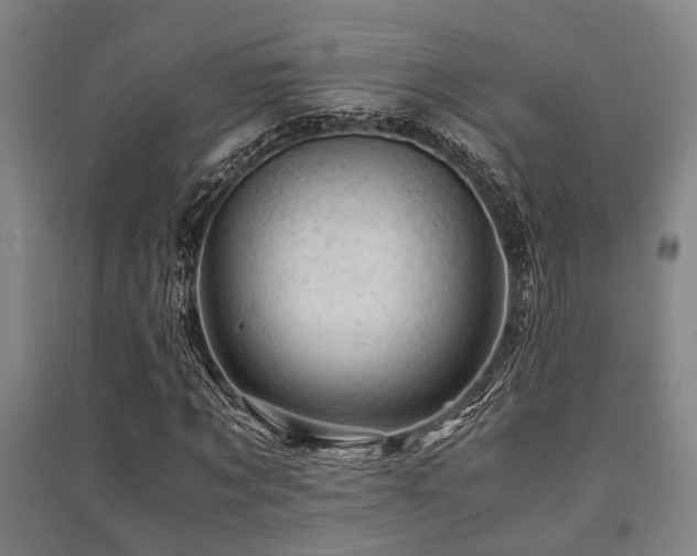 X0000091450869200708161256