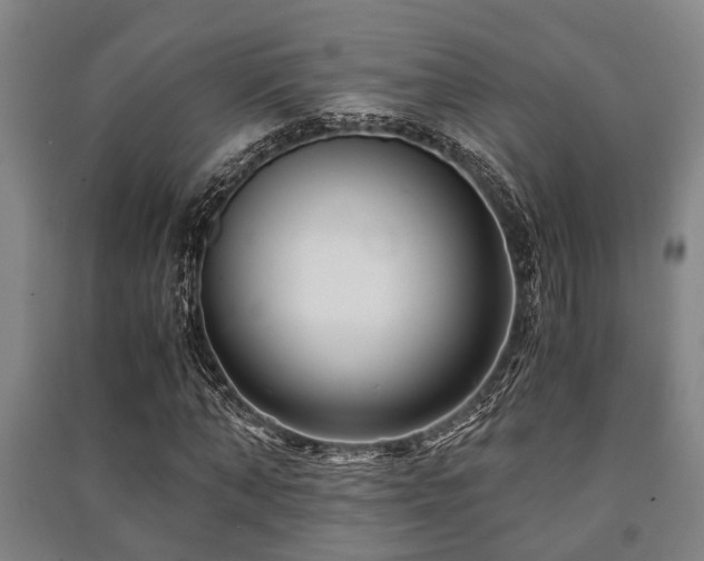X0000091450870200708161256