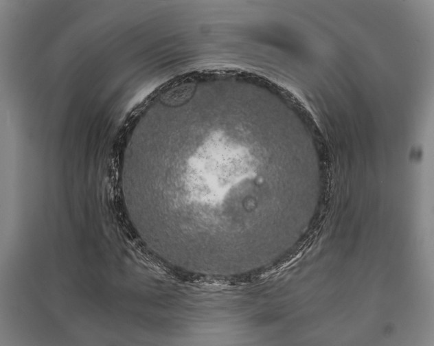 X0000091450871200708161256