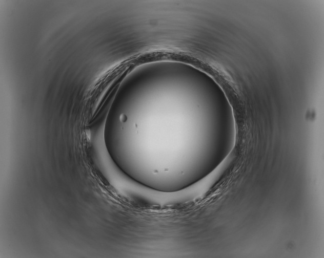 X0000091450872200708161256