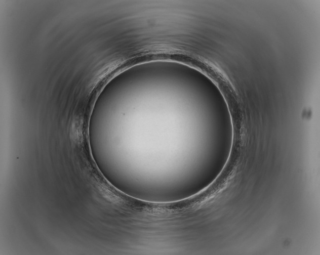 X0000091450873200708161256