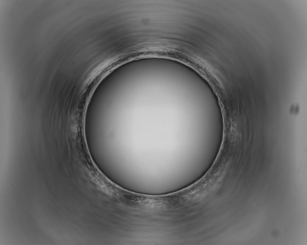 X0000091450874200708161256