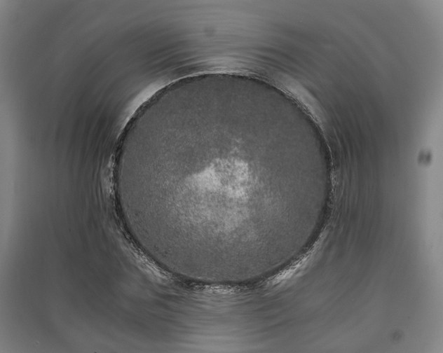 X0000091450875200708161256
