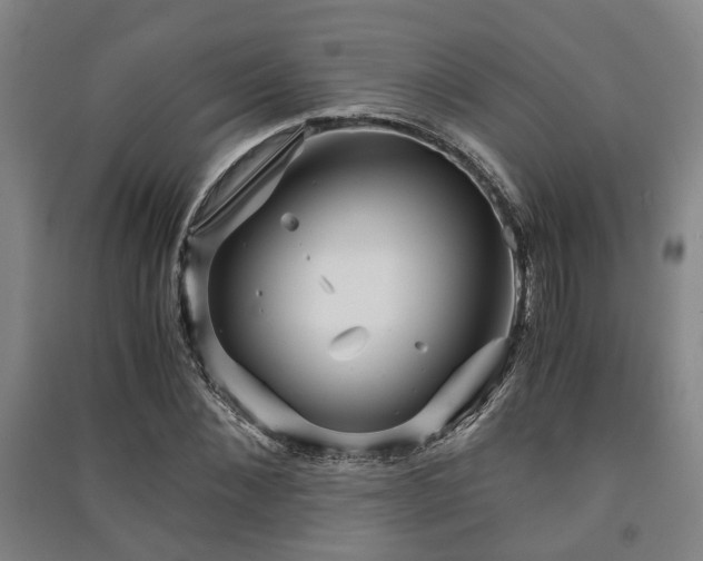 X0000091450876200708161256