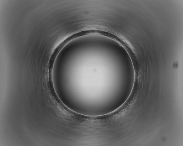X0000091450877200708161256
