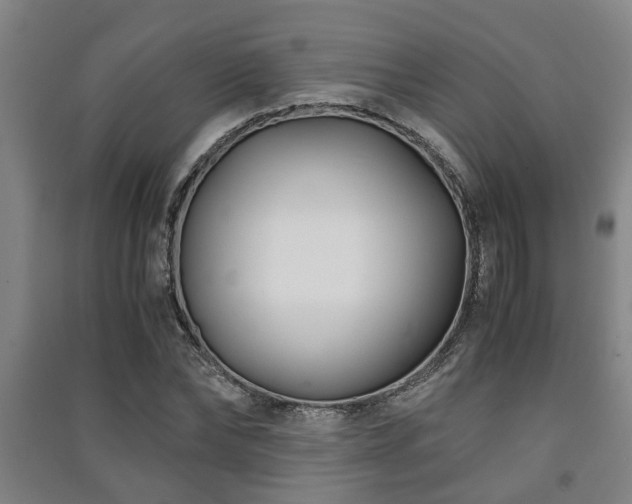 X0000091450878200708161256
