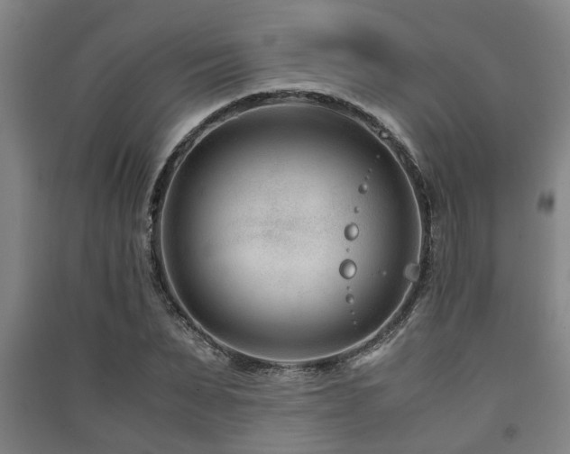 X0000091450879200708161256