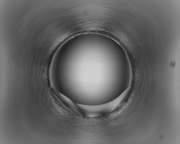 X0000091450881200708161256