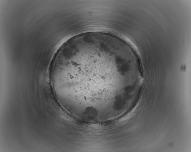 X0000091450883200708161256