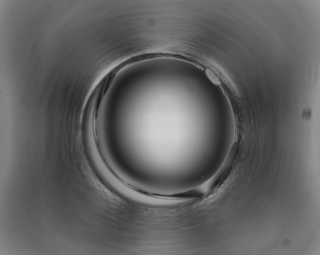 X0000091450884200708161256