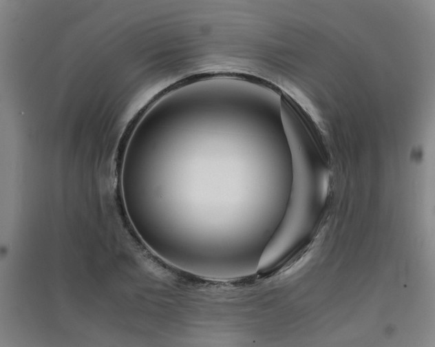 X0000091450885200708161256