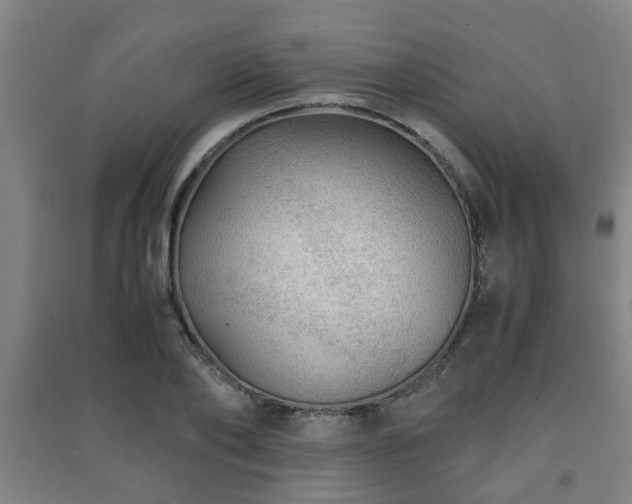X0000091450886200708161256