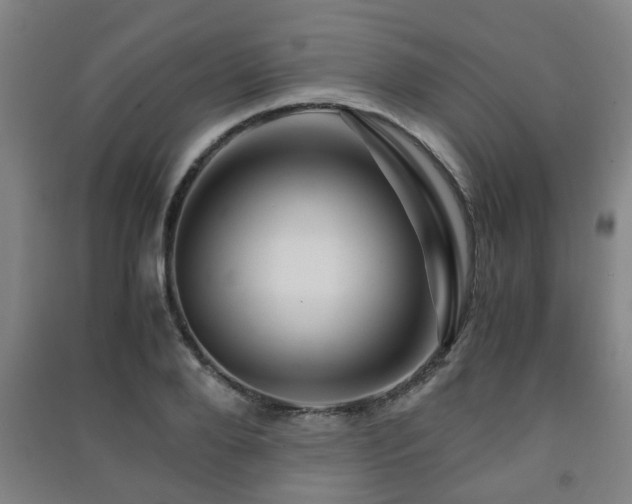 X0000091450888200708161256