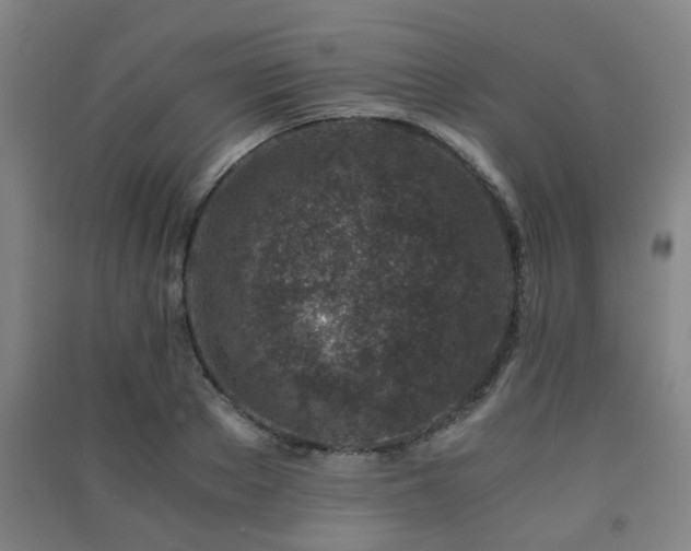 X0000091450889200708161256