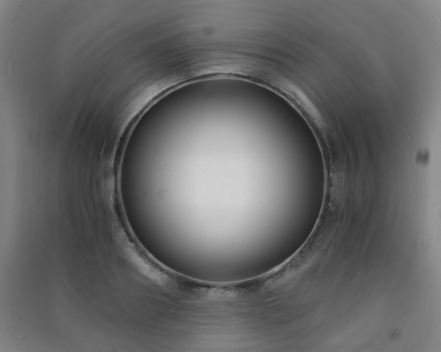 X0000091450890200708161256
