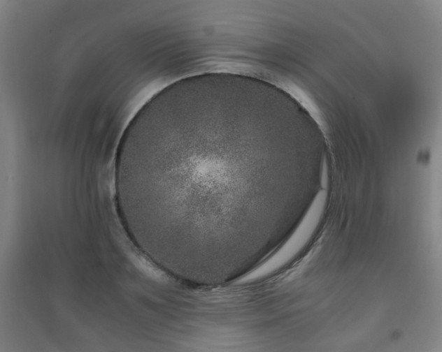 X0000091450891200708161256