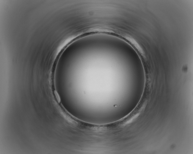 X0000091450893200708161256