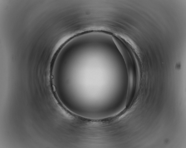 X0000091450894200708161256