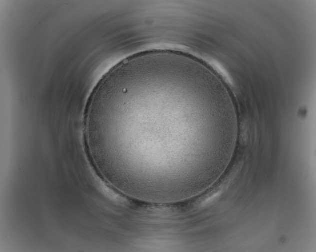 X0000091450895200708161256
