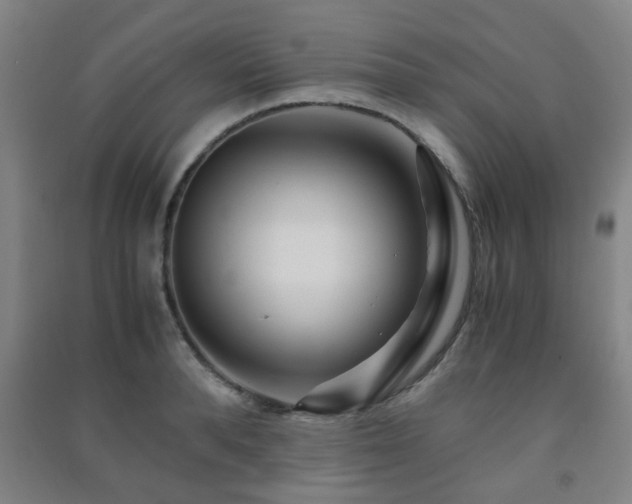 X0000091450896200708161256