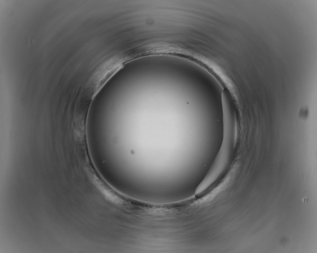 X0000091450897200708161256