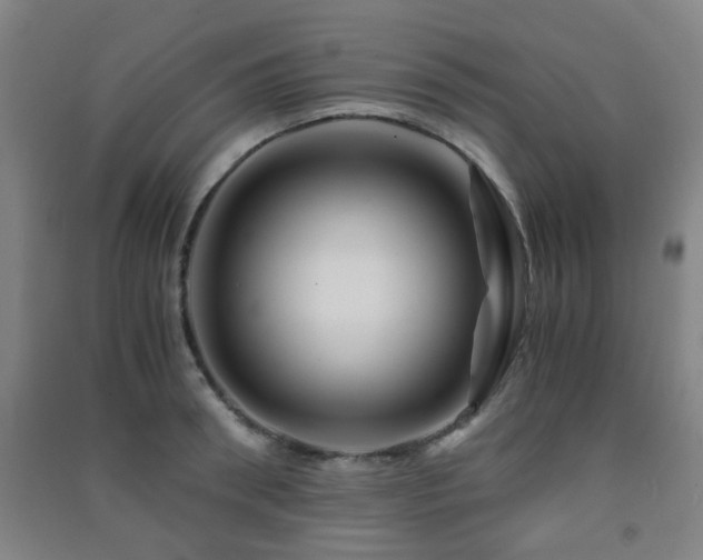 X0000091450898200708161256
