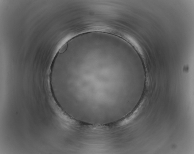 X0000091450899200708161256