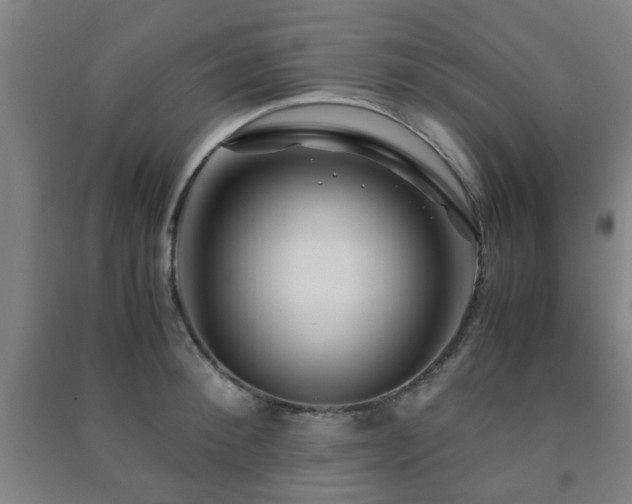 X0000091450900200708161256