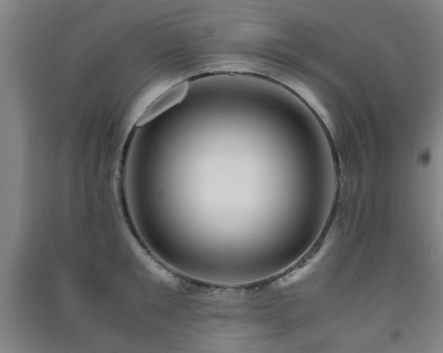 X0000091450901200708161256