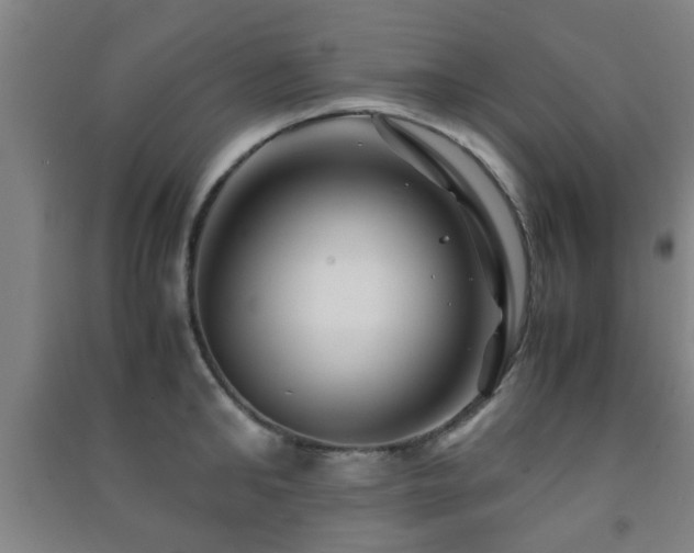 X0000091450902200708161256