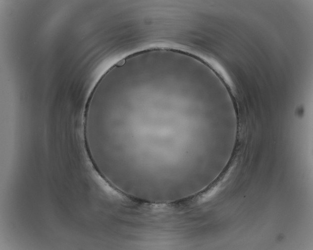 X0000091450903200708161256