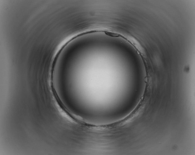 X0000091450904200708161255