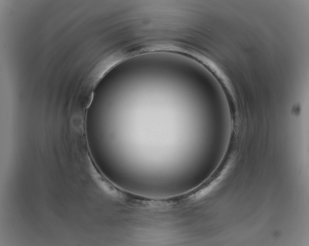 X0000091450905200708161255