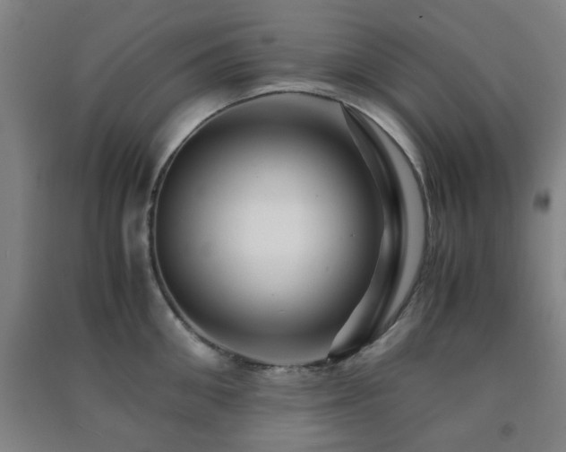 X0000091450906200708161255
