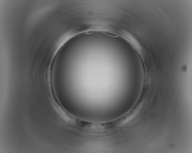 X0000091450907200708161255