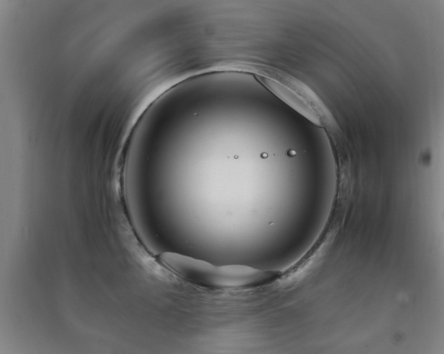 X0000091450908200708161255