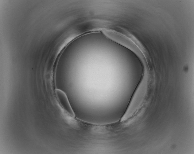 X0000091450909200708161255
