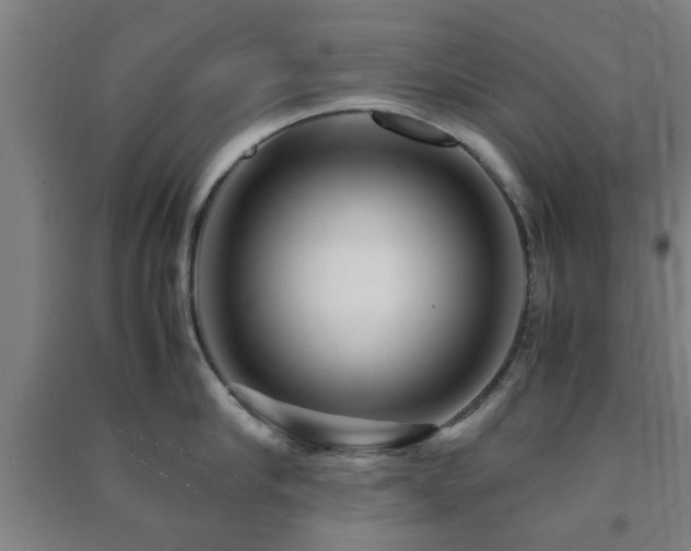 X0000091450910200708161255