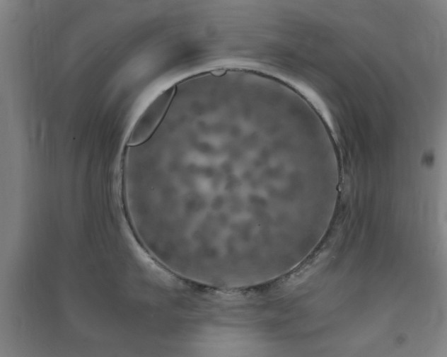 X0000091450911200708161255