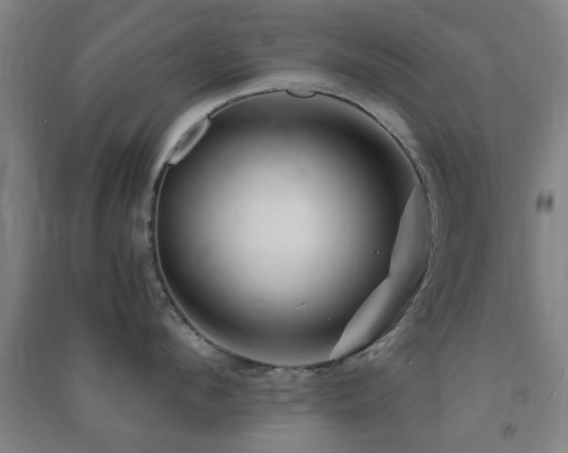 X0000091450912200708161255