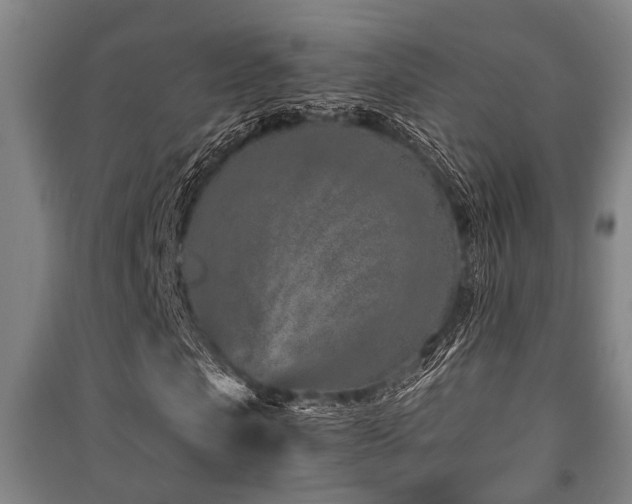 X0000091450913200708161255