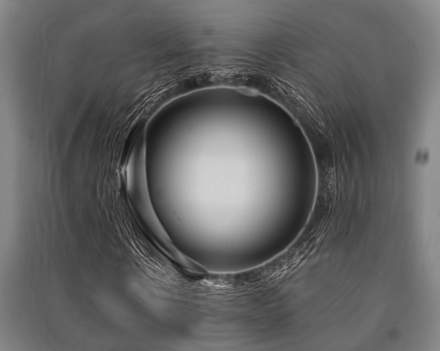 X0000091450914200708161255
